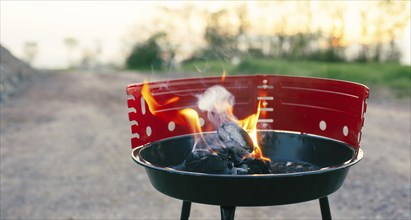 Barbecue on the grill, fire flame with coals, picknick in nature