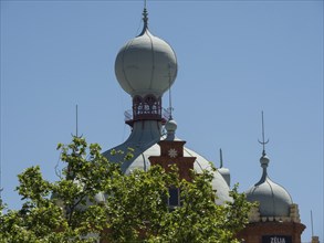 Historic buildings with domes and turrets, red brick, tree in foreground, blue sky, Lisbon,