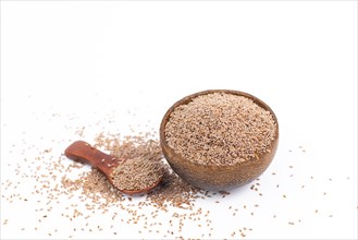 Flea seeds in a bowl, psyllium husks isolated on a white background, healthy nutrients, food diet