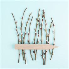 Willow branches with a tag, easter holiday greeting card, spring season background