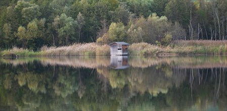 Biodiversity Haff Reimech, wetland and nature reserve in Luxembourg, pond surrounded by reed and