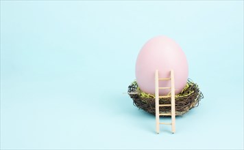 Huge pink colored easter egg in a birds nest and a wooden ladder, spring holiday greeting card