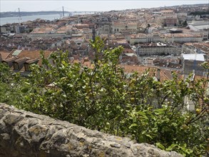 View of a lemon tree and a wall, with a city with red roofs in the background, Lisbon, portugal