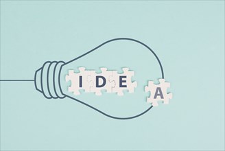 Idea in progress, light bulb, starting a new business, development and growth concept,