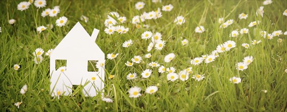 House in a meadow with daisy flowers, buying or renting a home in nature, real estate concept