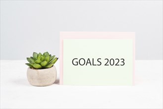 Goals 20223, new year resolution, making plan for the future, business and education concept,