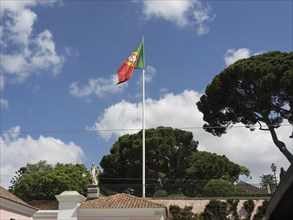 Portuguese flag flying on a flagpole against a blue sky, surrounded by tall trees, Lisbon, portugal