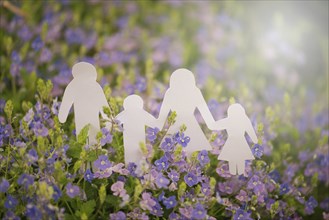 Family, parents with daughter and son in a spring meadow, environment concept, connected to nature,