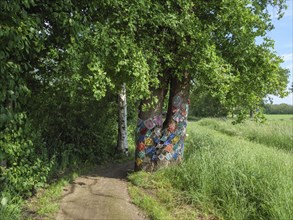 A tree by the wayside is decorated with colourful knitting, lichtenvoorde, gelderland, netherlands