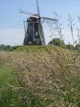 Windmill in the middle of tall grass and grain fields on a sunny day, lichtenvoorde, gelderland,
