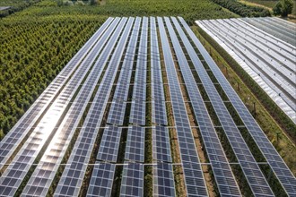 Agri-photovoltaic test plant, an apple orchard with two different systems of PV modules was roofed