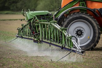 Agriculture, pesticide being sprayed on a field, sugar beet seedlings, North Rhine-Westphalia,