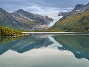 Svartisen glacier, Helgeland coast, reflection in Holandsfjord, autumn, Nordland,