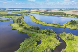 Aerial view, drone photo: River Peene with wetlands and lakes, Flusslandschaft Peenetal nature park