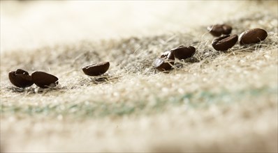 Coffee beans on coffee sack, close-up