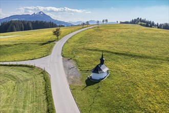 Aerial view of rural road in blomstering meadows, small chapel, mountain Grünten in the back,