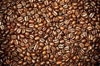 Coffee beans. Abstract background