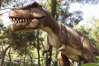 Tyrannosaurus, prehistoric era dinosaur showing his toothy mouth