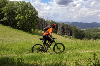 Mountain biking in the Odenwald with a view of the Rhine plain, here on the Birkenau circular route