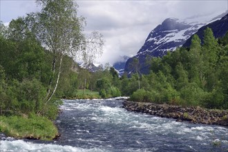 A clear river rushes through a mountain and forest landscape with snow-capped peaks in the