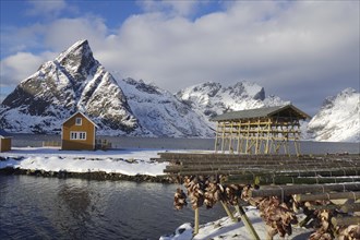 Winter landscape with snow-covered mountains, by a fjord and wooden buildings, racks for drying