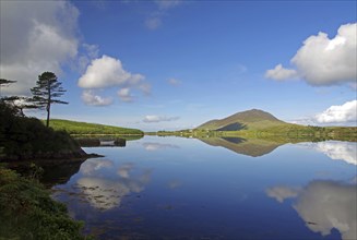 Mountain ridges and cloudy skies are reflected in a calm lake under a clear blue sky with lush