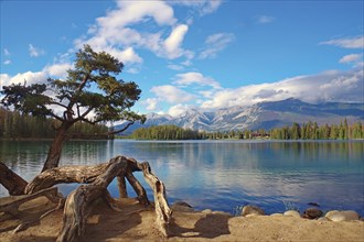 Lake with a crooked tree on the shore, surrounded by mountains, clouds and forests in sunny