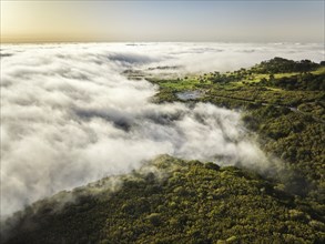 Aerial view of idyllic scenic Fanal Laurisilva forest with centuries-old til trees with road above