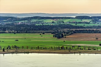 View of the Lake Kochel, calm water, warm evening light, sunset, Loisach-Lake Kochel-Moor,