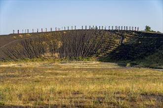 The Haniel spoil tip, 185 metre high spoil tip at the Prosper Haniel mine, which was closed in