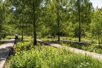 Zollverein Coal Mine Industrial Complex World Heritage Site in Essen, Zollverein Park on the site