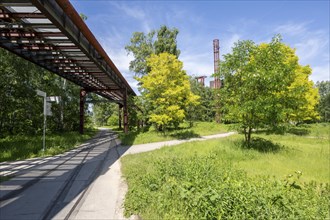 Zollverein Coal Mine Industrial Complex World Heritage Site in Essen, Zollverein Park on the site