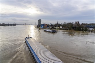 Flood on the Rhine near Duisburg, freighter on the river near Duisburg-Homberg, downstream, heading