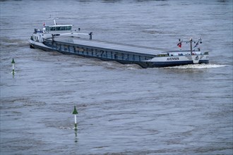 High water on the Rhine near Duisburg, freighter on the river near Duisburg-Homberg, descent,