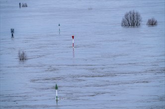 High water on the Rhine near Duisburg, river near Duisburg-Homberg, navigation signs, North