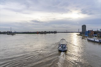 Flood on the Rhine near Duisburg, freighter on the river near Duisburg-Homberg, downstream, heading