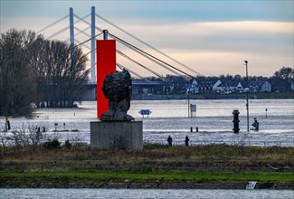 Flood on the Rhine near Duisburg, Rhine bridge Neuenkamp, old and new construction, landmark Rhine