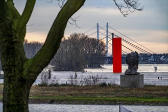 Flood on the Rhine near Duisburg, Rhine bridge Neuenkamp, old and new construction, landmark Rhine