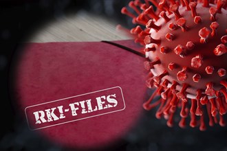 Symbolic image of RKI files: The RKI documents in connection with the corona pandemic are now