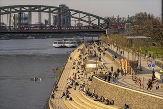 Rhine promenade, Rhine boulevard, on the Deutz bank, people sitting in the spring sun on the Rhine,