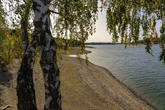 Lake Möhne, reservoir in the northern Sauerland, south bank, extremely low water level of the