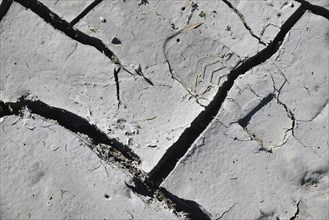 Farmer's bootprint in dried and cracked mudpan