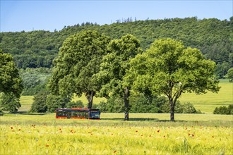 Country road between Hirschberg and Warstein, local bus, public transport, bus transport,