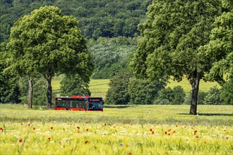 Country road between Hirschberg and Warstein, local bus, public transport, bus transport,