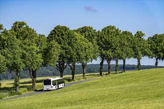 Country road between Hirschberg and Warstein, local bus, public transport, bus transport,