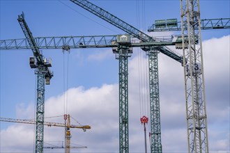 Construction sites in the east of Hafencity Hamburg, office building, new district on the Elbe, on