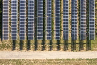 Agri-photovoltaic test plant, an apple orchard with two different systems of PV modules was roofed