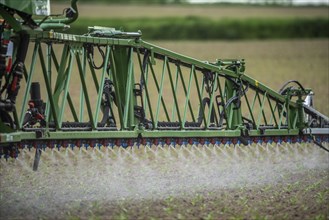 Agriculture, pesticide being sprayed on a field, sugar beet seedlings, North Rhine-Westphalia,