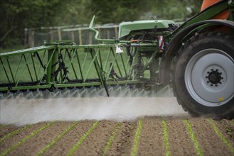 Agriculture, pesticide being sprayed on a field, sugar beet seedlings, North Rhine-Westphalia,