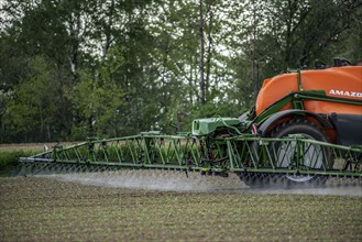 Agriculture, pesticide being sprayed on a field, sugar beet seedlings, North Rhine-Westphalia,